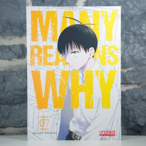 Many Reasons Why 7 (01)
